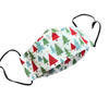 Liberty Print Christmas Fabric Washable Reusable Face Mask